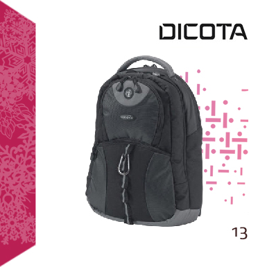 13. Dezember
Dicota BacPac Mission Pure 14